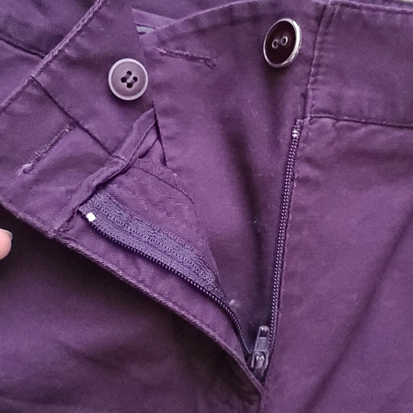 The Limited purple shorts - Picture 3 of 5